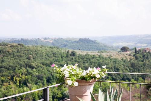a pot of flowers on a balcony with a view at Villa Il Fedino in San Casciano in Val di Pesa
