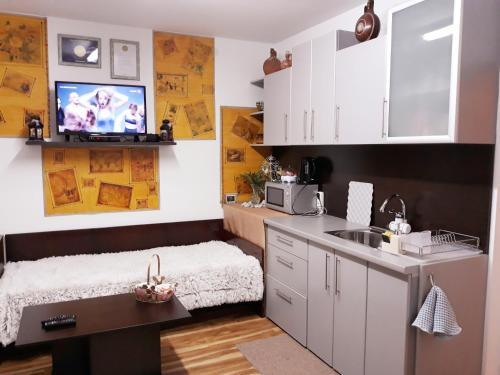 A kitchen or kitchenette at Apartment Shesti Uchastak