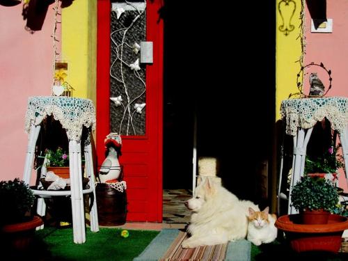 two cats sitting in front of a red door at Art B&B La Casa del Pittore in Revine Lago