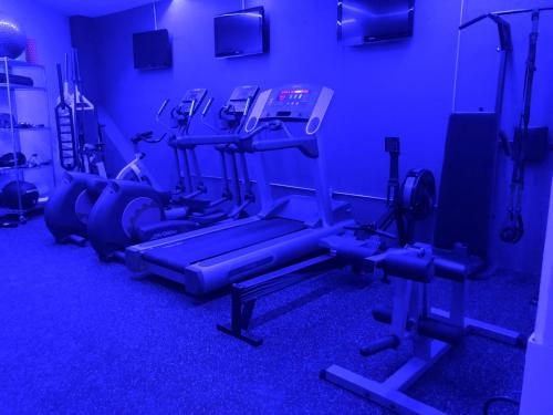 a gym with cardio equipment in a blue room at La Moraleja Love hotel in Mexico City