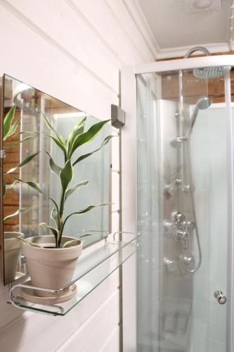 a plant in a pot on a shelf in a bathroom at Villa Orohat 2 in Rovaniemi