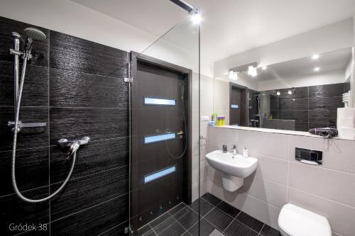 a bathroom with a shower and a sink at Apartment Słoneczny Gródek 38 in Gródek Nad Dunajcem