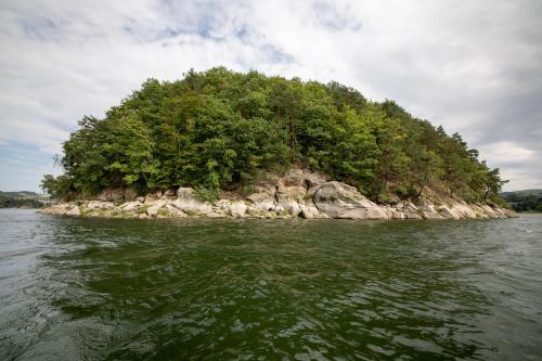 an island in the water with trees on it at Apartment Słoneczny Gródek 38 in Gródek Nad Dunajcem