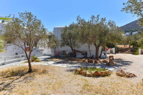 a group of trees in front of a building at Giannakas Studios in Platis Yialos Sifnos