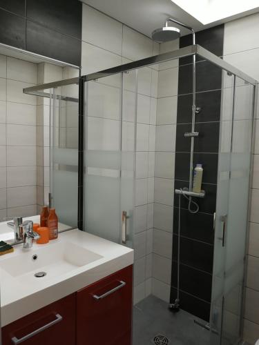 une salle de bain avec un lavabo et une douche en verre dans l'établissement L'ostaou des hauts de Barousse, à Bramevaque