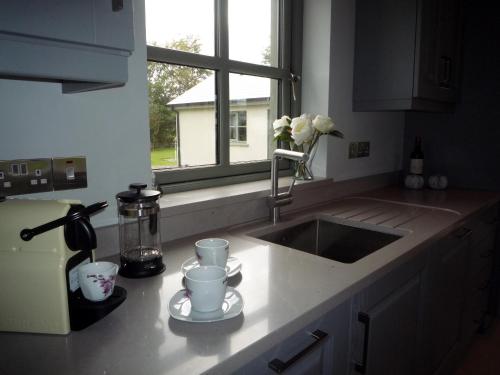 Kuchyň nebo kuchyňský kout v ubytování Beechwood 6 Kenmare - Luxurious Living