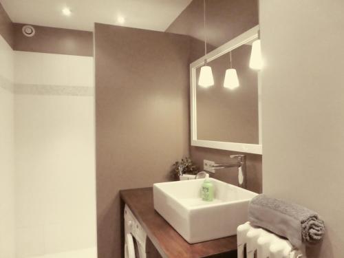 une salle de bain avec un lavabo blanc et un miroir dans l'établissement Le balcon de l'Aigle, à Grenoble