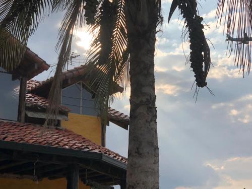 a palm tree next to a building with the sky in the background at Springhills Quito Airport in Tababela
