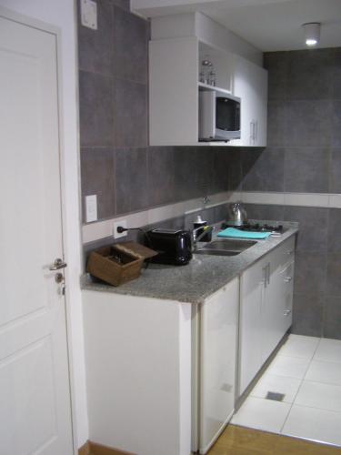 una cocina con fregadero y microondas en Apart Delacroix, en Santa Fe