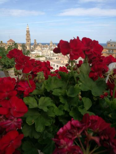 a group of red flowers with a city in the background at IsolaAzzurra in Monopoli