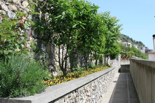 a stone retaining wall with trees and flowers at Villa Il Frantoio and Lilmar in Praiano