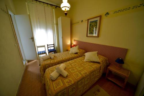 damario panorama – Photos 4