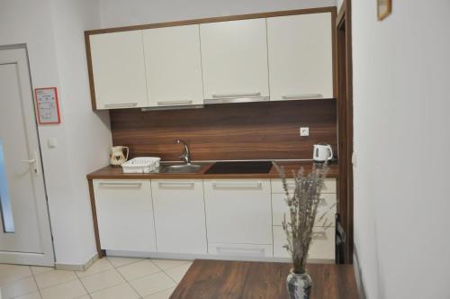 a kitchen with white cabinets and a sink at Apartman"KATJA" in Sveti Martin na Muri