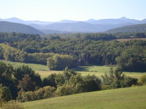 a view of a valley with trees and mountains at Gîte du Tarbésou in Régat