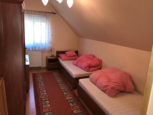 two beds in a room with red pillows on them at Krościenko nad Dunajcem Jagielońska 179/1 in Krościenko