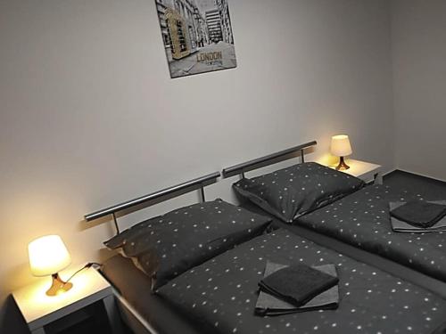 een slaapkamer met 2 aparte bedden en 2 lampen bij Rooms Orlí in Brno