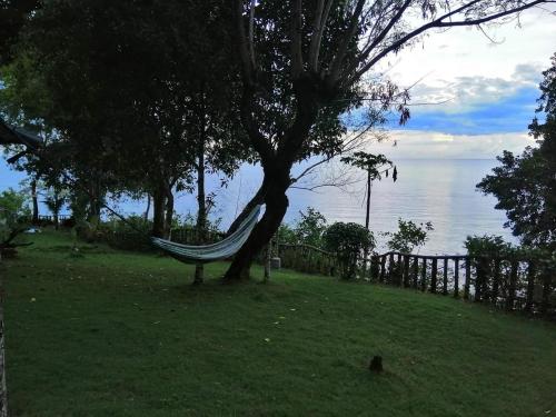 a hammock hanging from a tree next to the water at Bohol-Lahoy Dive Resort in Guindulman
