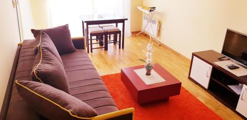 a living room with a couch and a table at Olimp Lux in Budva