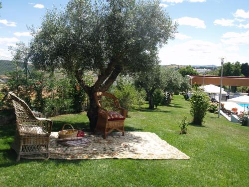 a group of chairs sitting under a tree at Hotel Estalagem Turismo in Bragança
