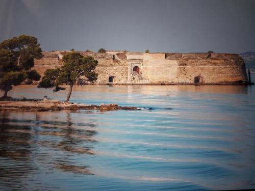 a tree sitting on the edge of a body of water at Apartment Karla SNB in Lozovac