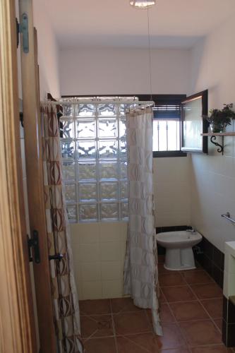ロンダにあるCasa Rural Piedras Negras, La Parchite, Rondaのバスルーム(シャワーカーテン、トイレ付)