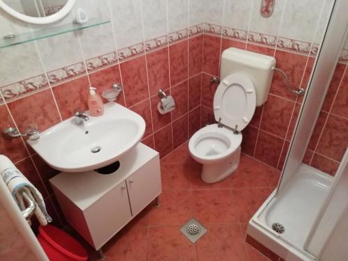 a bathroom with a toilet and a sink and a shower at Apartment Plavia Biograd in Biograd na Moru