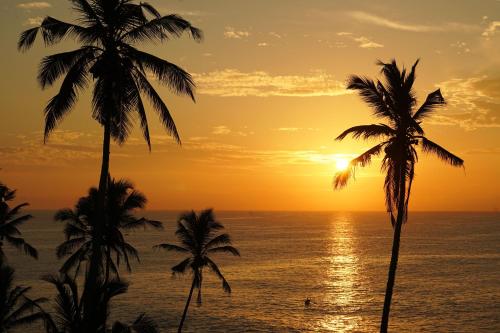 a sunset over the ocean with palm trees at Villa Lucky Star in Tangalle