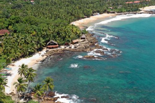 an aerial view of a beach with palm trees at Villa Lucky Star in Tangalle