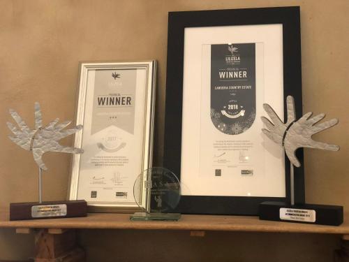 a shelf with three framed pictures and a trophy at Lanseria Country Estate in Lanseria