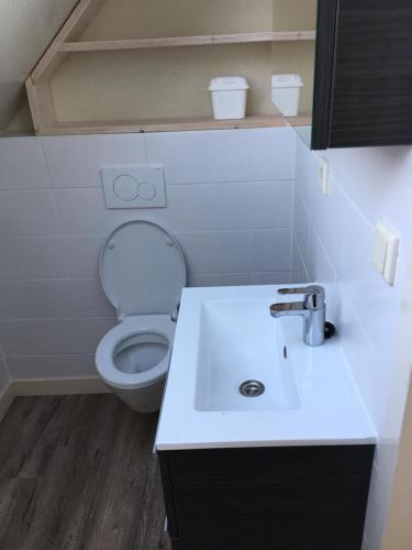 ein Badezimmer mit einem weißen WC und einem Waschbecken in der Unterkunft Studio de Pelgrim in Vrouwenpolder