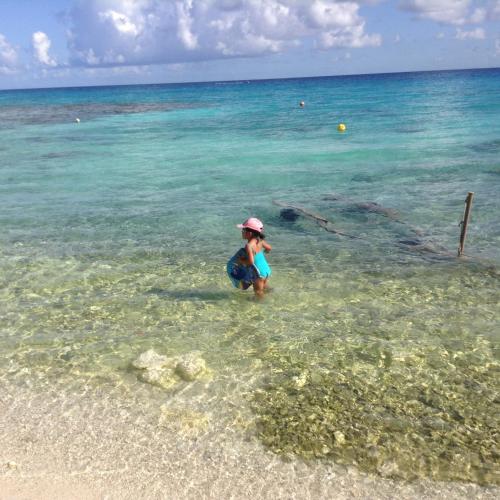 a young girl standing in the water at the beach at Chez Taia et Véro in Tiputa