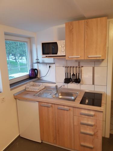 uma pequena cozinha com um lavatório e um micro-ondas em 4 seasons apartment Radovljica em Radovljica