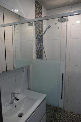 フランコルシャンにあるL'Aubépineのバスルーム(洗面台、ガラス張りのシャワー付)