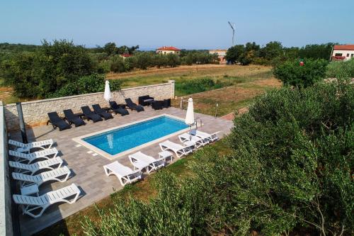 - une vue aérienne sur une piscine avec des chaises longues et une piscine dans l'établissement Apartments Villa Adamović, à Umag
