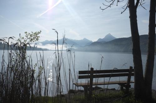 a bench sitting next to a body of water at Dreimäderlhaus - Das vegetarische Boutique Hotel in Füssen