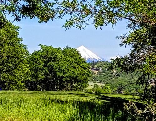 a mountain in the distance with a field and trees at Resort at Eagle Point Golf Club Lodging in Medford