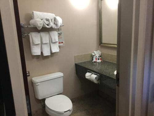 a bathroom with a toilet a sink and a mirror at Ramada by Wyndham Brooks in Brooks