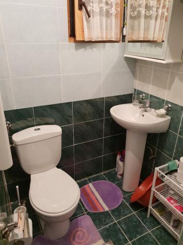 a bathroom with a toilet and a sink at Guest house Anka in Žabljak