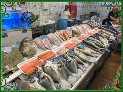 a bunch of fish on display at a market at Quinta da Villa in Cascais