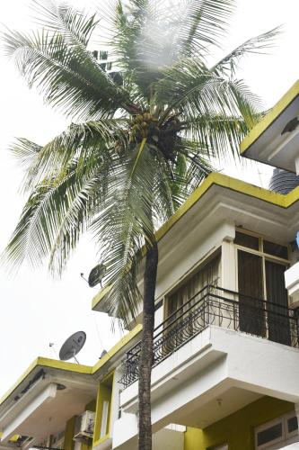 a palm tree in front of a building at BEAUTIFUL SPACIOUS STUDIO APT IN CANDOLIM with Wifi in Candolim