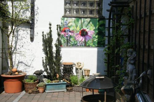 a garden with plants and a window with a flower at Landgasthof Em Lade in Dahlem