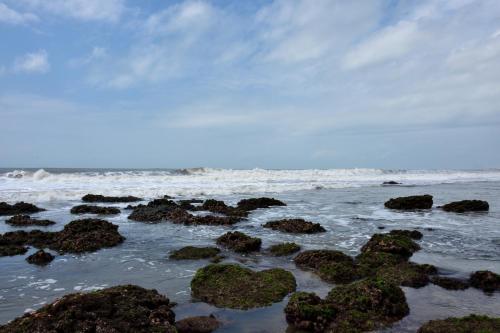 a group of rocks in the ocean with waves at Bahari Pori Resort in Pangani