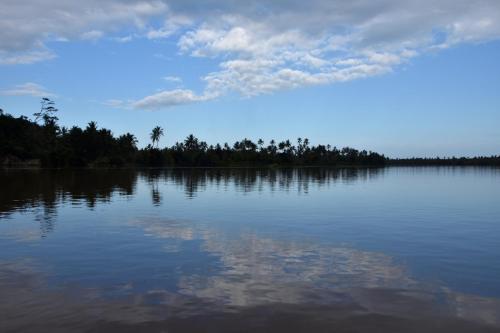 a large body of water with trees in the background at Bahari Pori Resort in Pangani