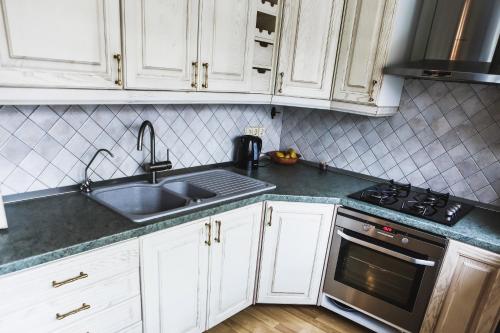 Kuchyň nebo kuchyňský kout v ubytování Raimondas Apartments