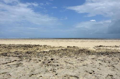 a beach with a lot of dirt and grass at Bahari Pori Resort in Pangani