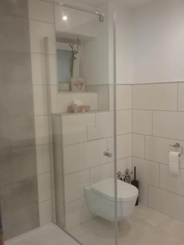 a bathroom with a glass shower with a toilet at Ferienwohnung Burry in Kapellen-Drusweiler