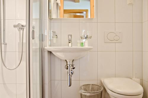 Un baño con lavabo, inodoro y ducha. en Apartment Eiger - GRIWA RENT AG, en Grindelwald