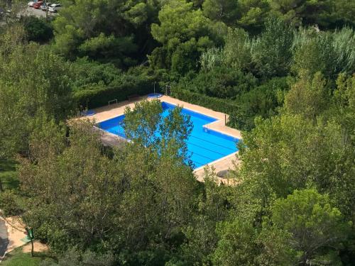 Výhled na bazén z ubytování Gran Apartamento, un lujo en playa El Saler - Valencia nebo okolí