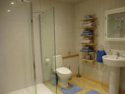 モラーにあるCross Bothyのバスルーム(シャワー、トイレ、シンク付)