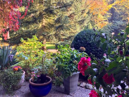 a garden with flowers and plants in pots at Haus am See in Schiffdorf